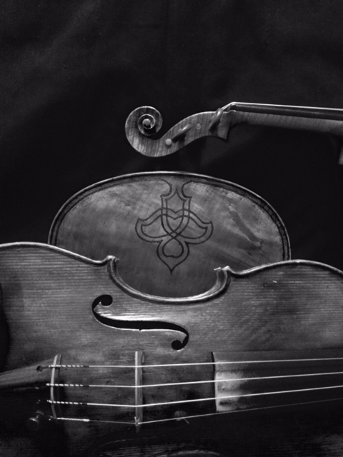 Eugene Violin Shop Musical Instrument Repair Shop photo