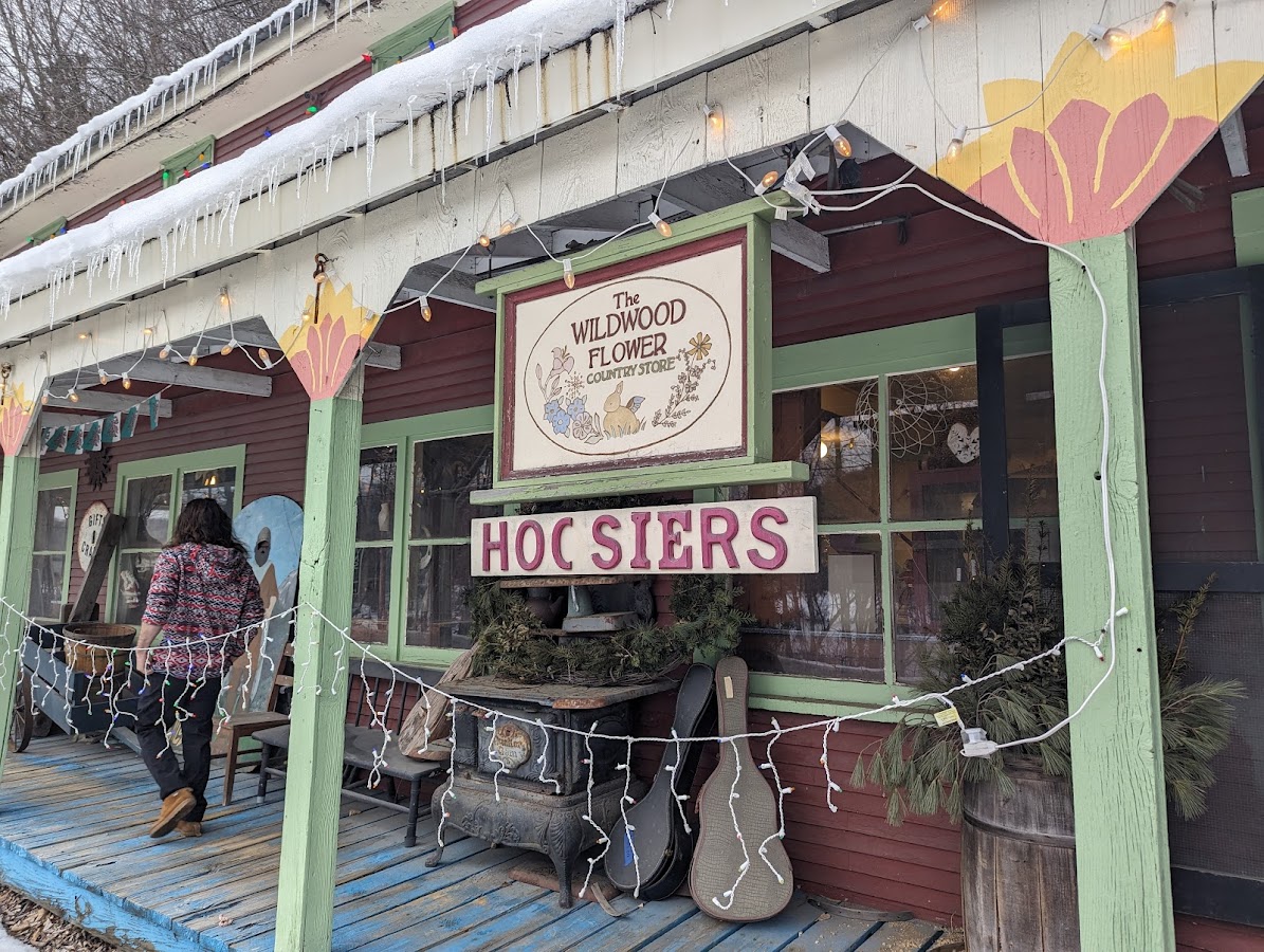 The Wildwood Flower & Jake Wildwood Musical Instrument Repair Shop photo