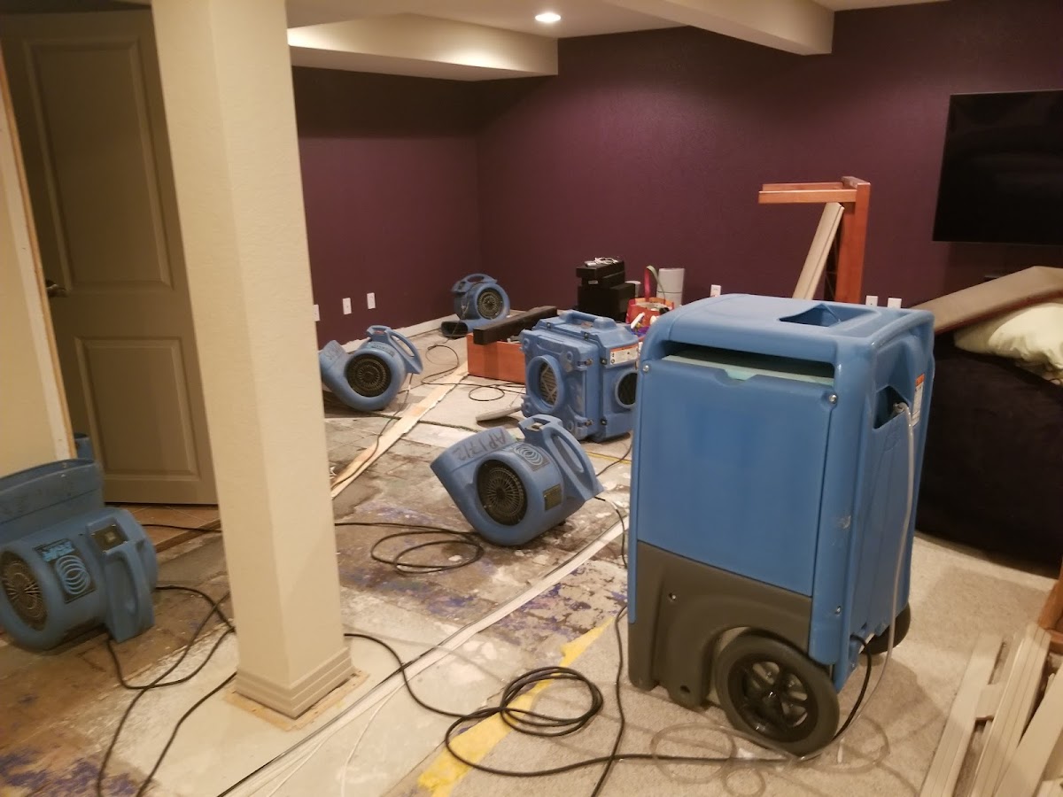 Rapid Dry Restoration Water Damage Restoration Service photo