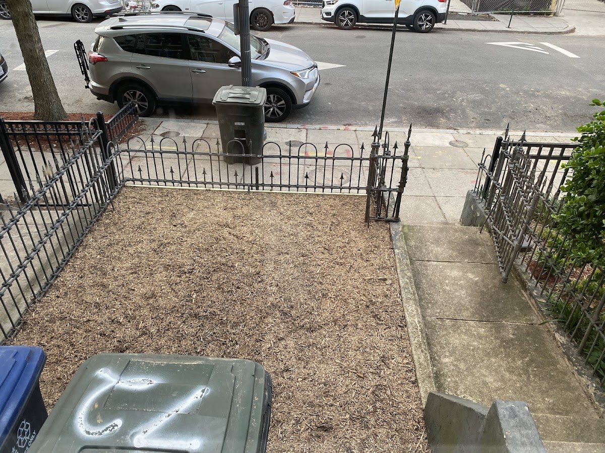 Ruda Masonry Masonry Contractor photo
