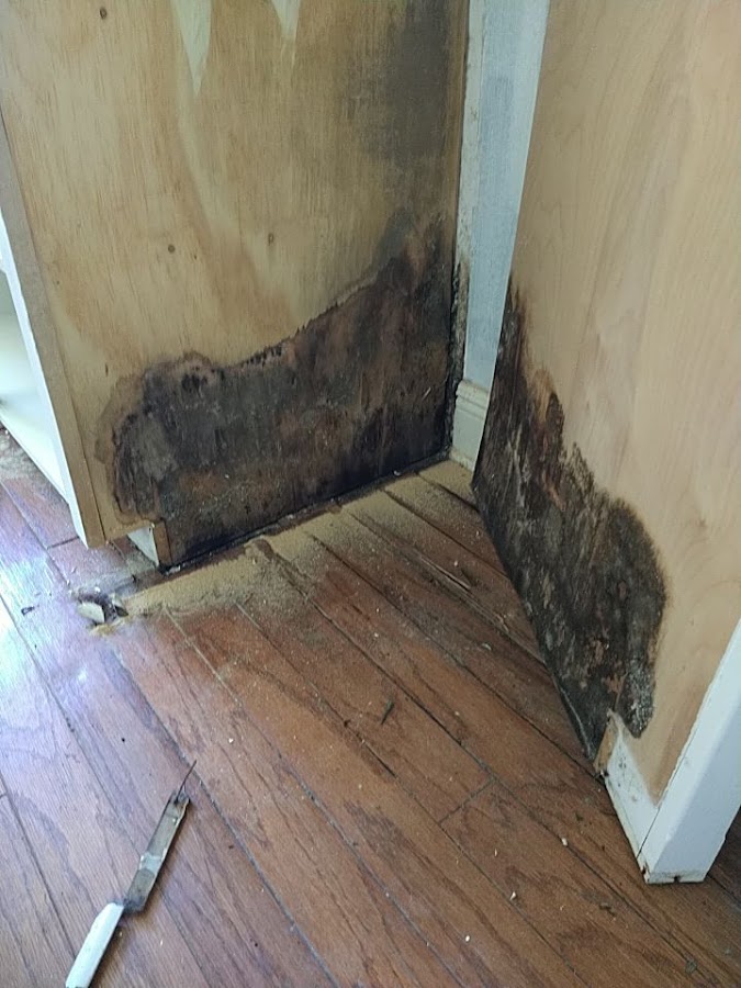 Power Pro Remediation Water Damage Restoration Service photo