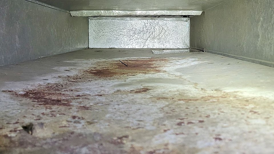Gallery photo for SafeAir Duct Care in Imperial, MO