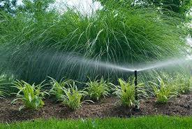 Gallery photo for Greenville Irrigation Services in Greenville, SC