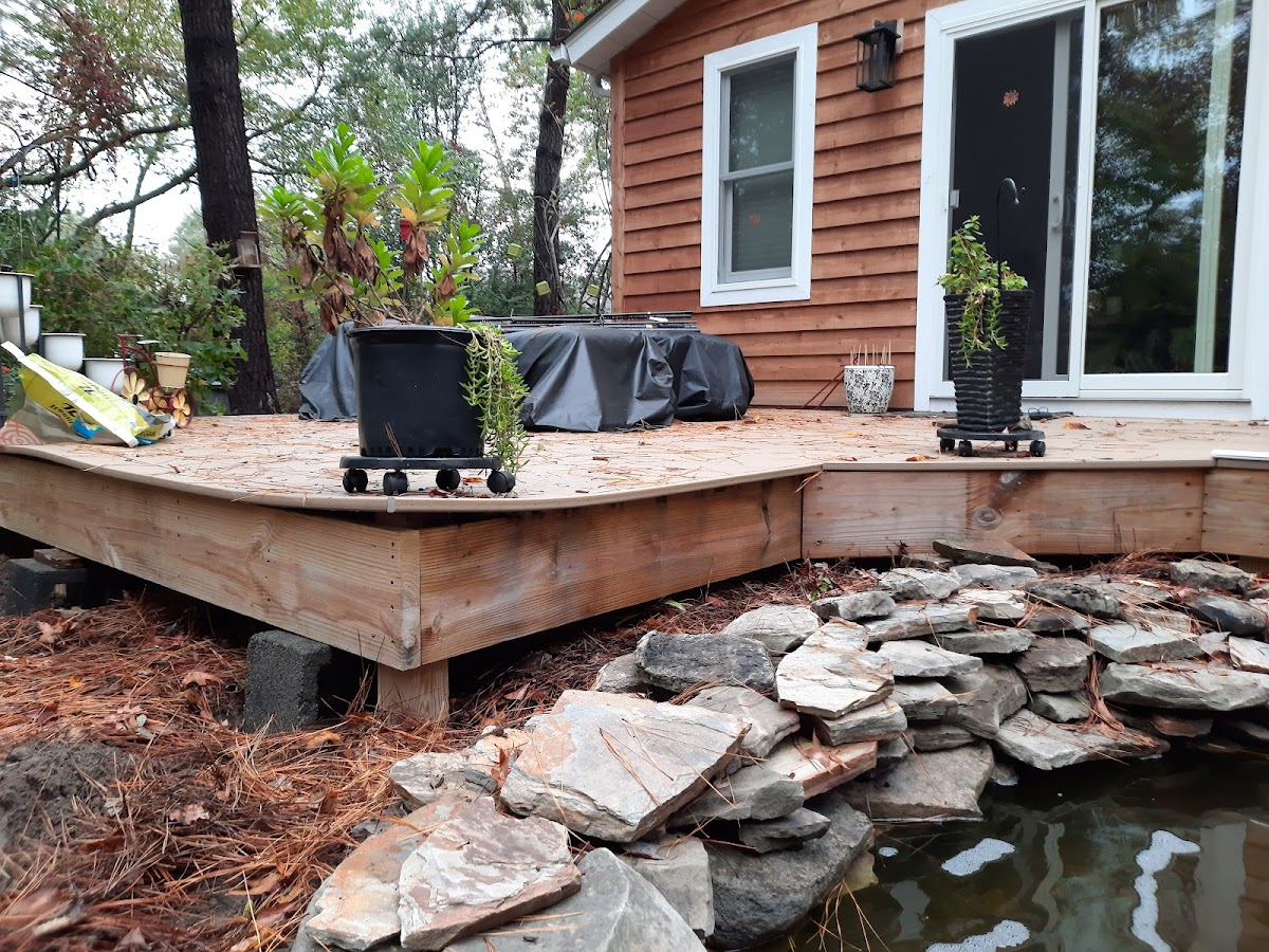 BSD Window Installation Service photo