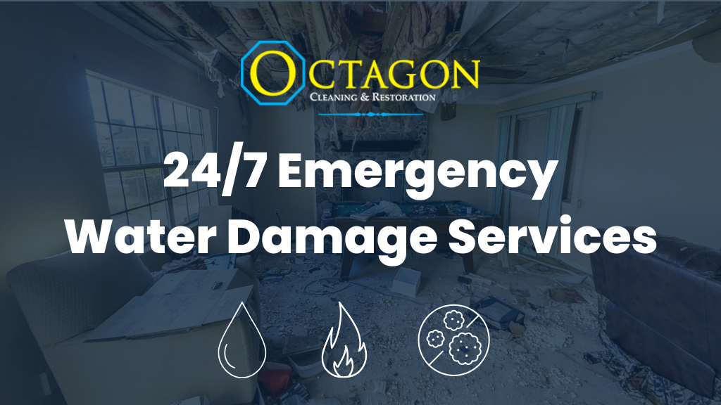 Octagon Cleaning and Restoration Water Damage Restoration Service photo