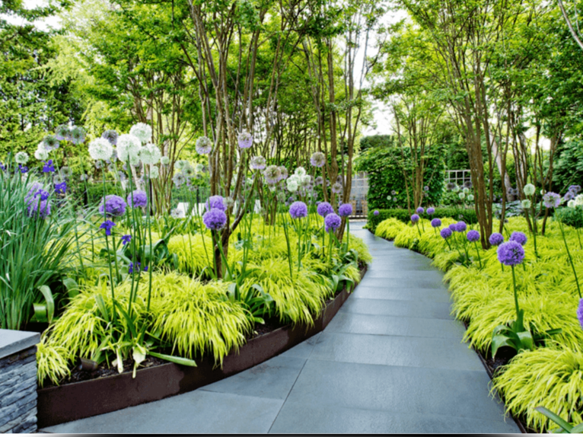 Vertscape Landscaper photo