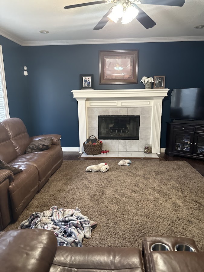 Home Pros Painting And Home Repairs Painter photo