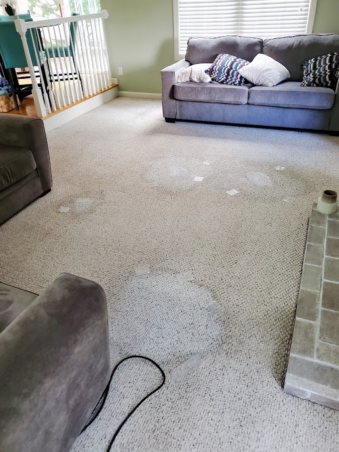 Phoenix of Rhode Island Carpet Cleaning Service photo