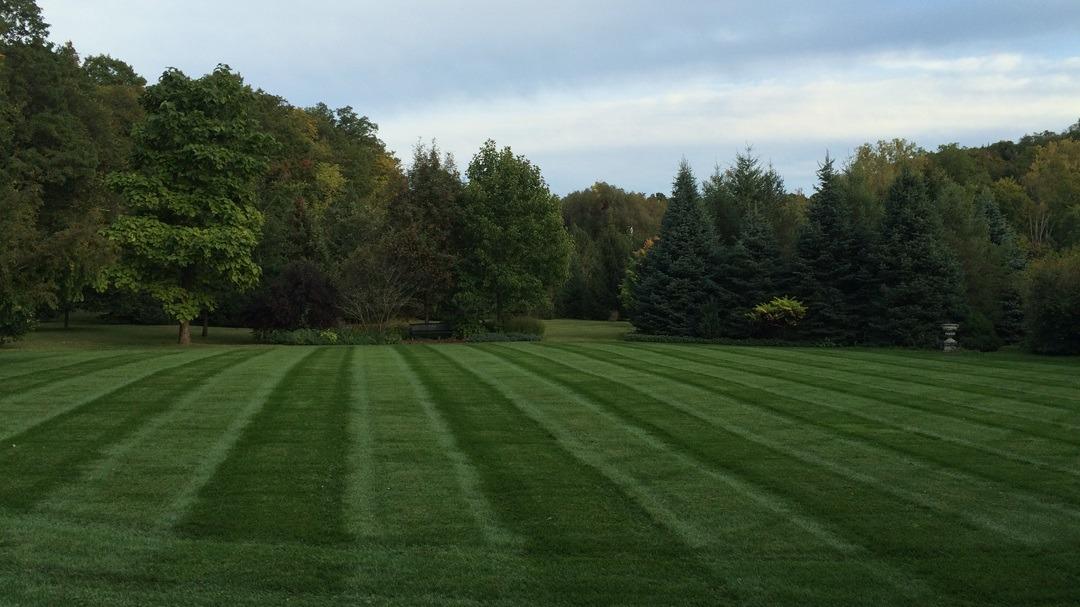 VT Terrain Landscaper photo