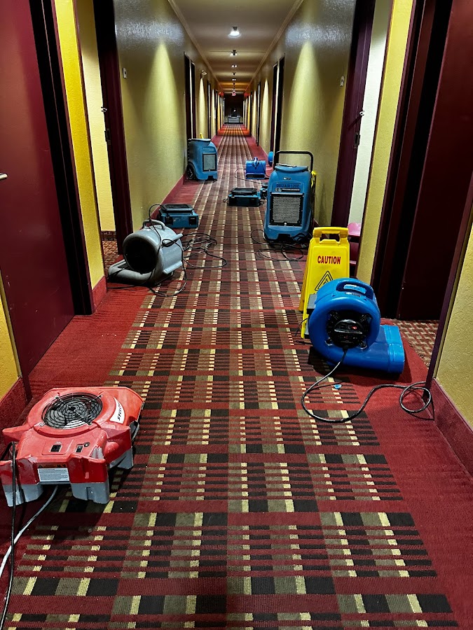 Newman's Restoration Water Damage Restoration Service photo