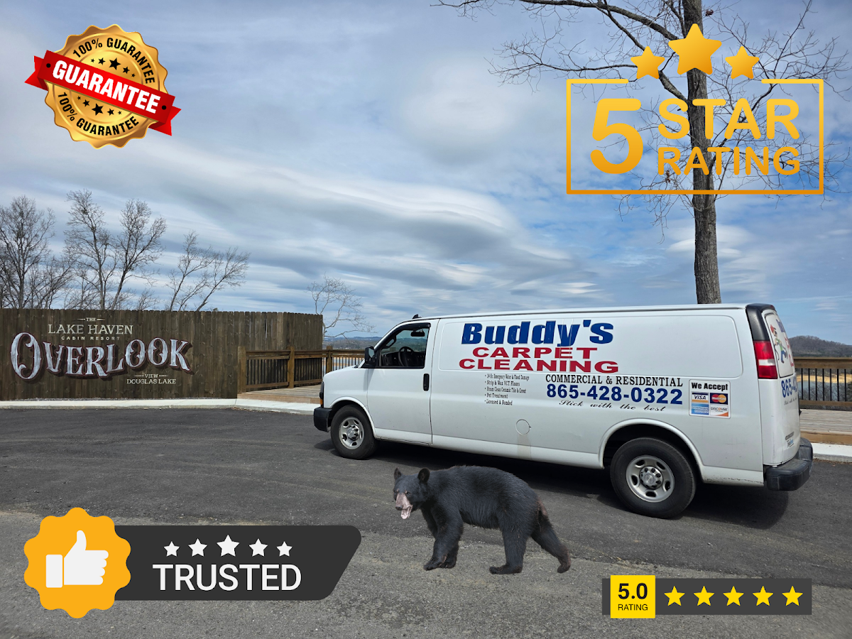 Buddy's Carpet Cleaning Carpet Cleaning Service photo