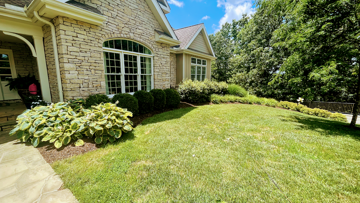 Mountie Scapes Property Solutions Landscape Designer photo