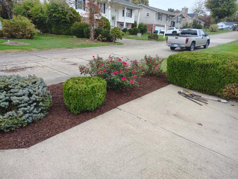 ENVY Pristine Landscapes Landscaper photo