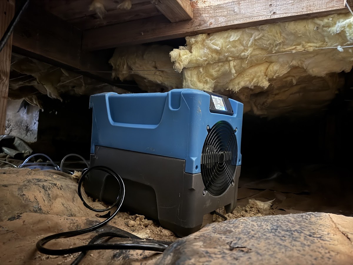 White Glove Water Damage Restoration Water Damage Restoration Service photo