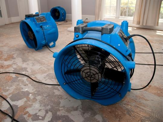 Revive Orlando Water Damage Restoration Service photo