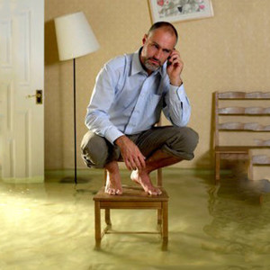 Paul Davis Restoration of Orlando Water Damage Restoration Service photo