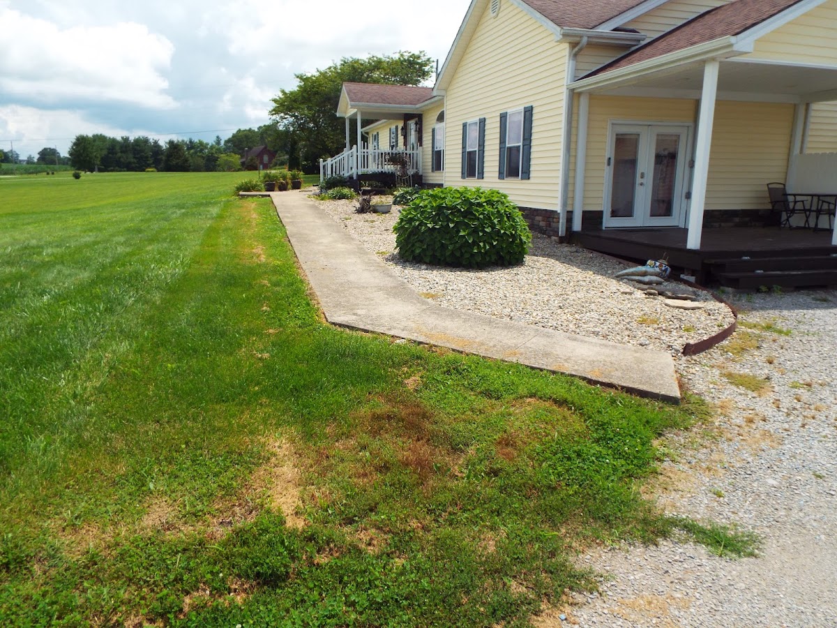 Tates Creek Paving, LLC. Paving Contractor photo