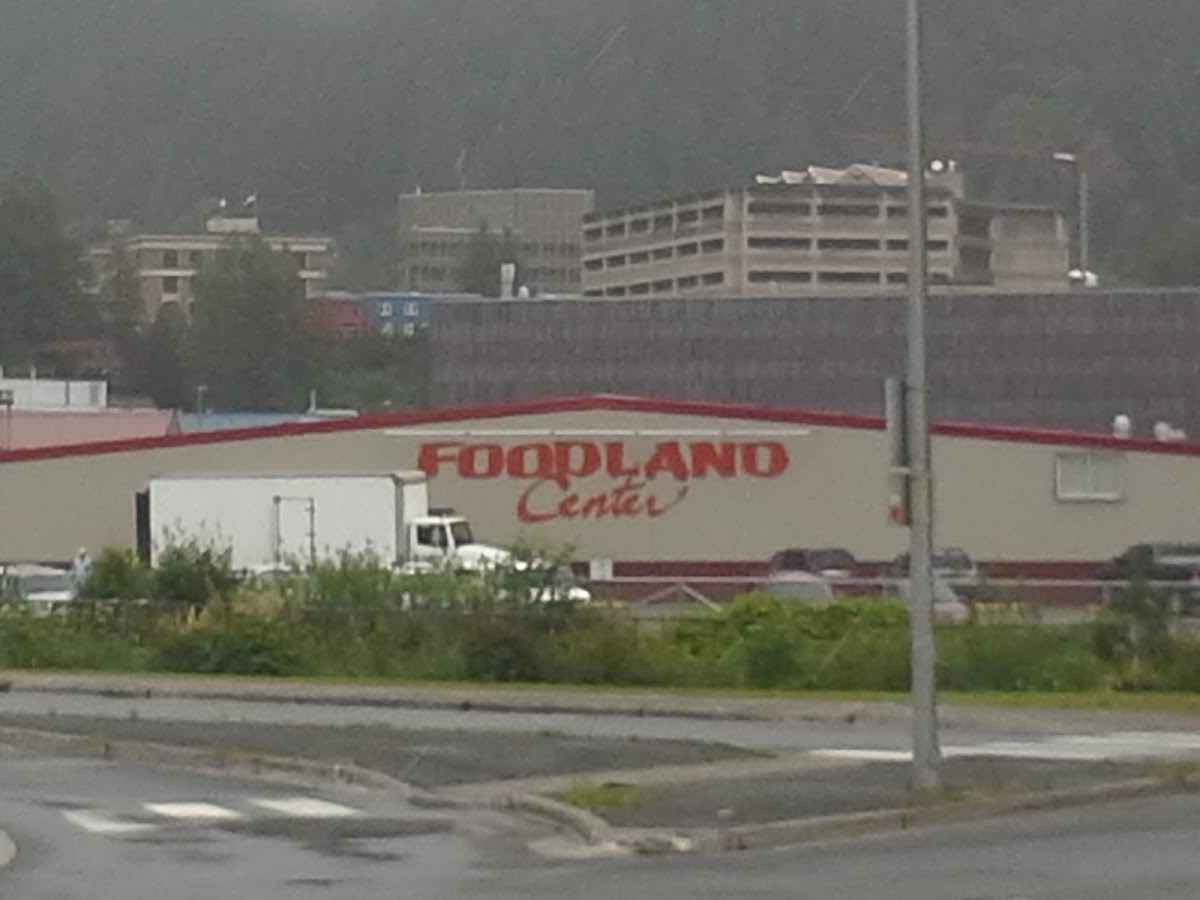 Foodland Ace Hardware Handyman photo