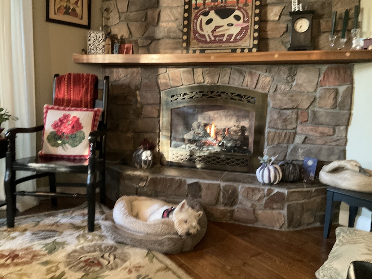 JW Fireplace Sales & Consulting Fireplace Repair Service photo