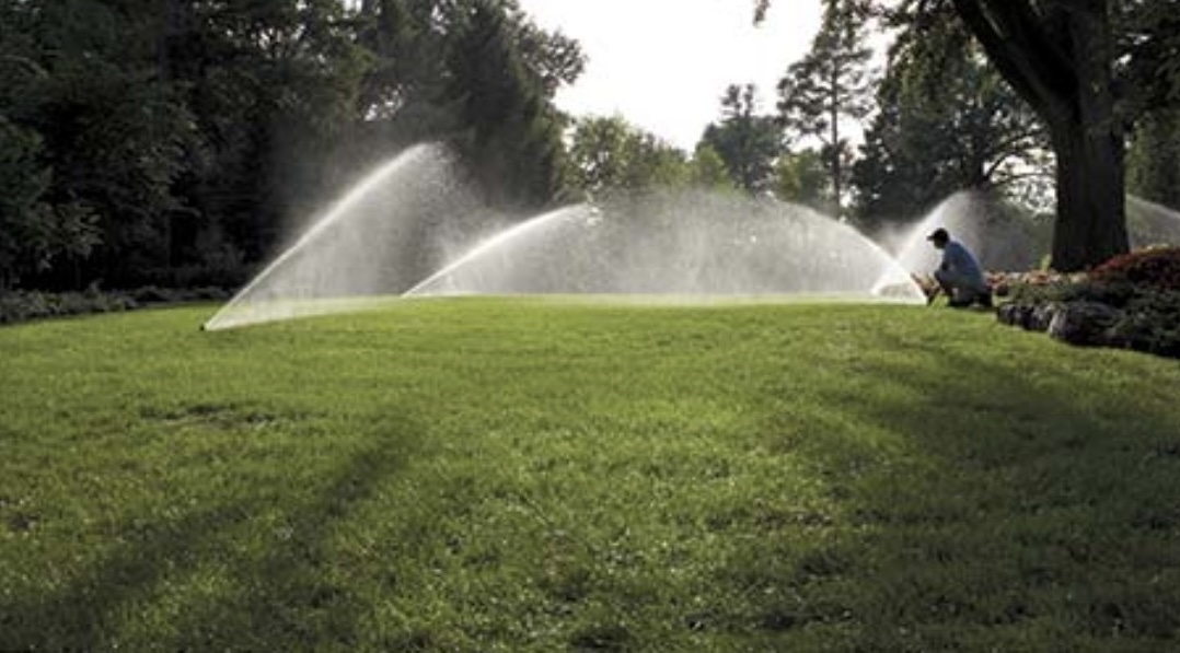 Mighty Mower Lawn Lawn Sprinkler System Contractor photo