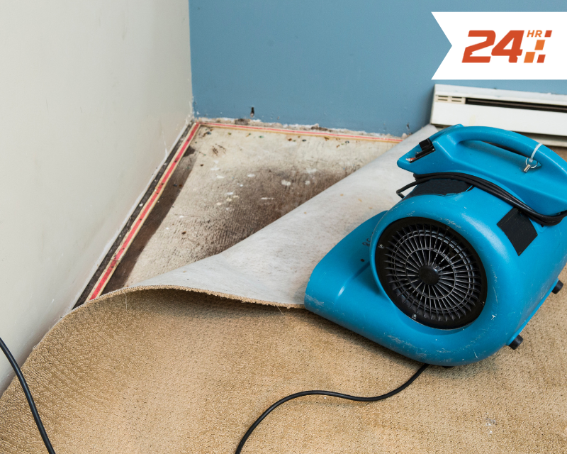24 Hour Flood Pros of Reno Water Damage Restoration Service photo