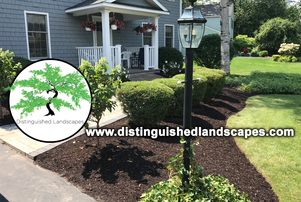 DISTINGUISHED LANDSCAPES Landscaper photo