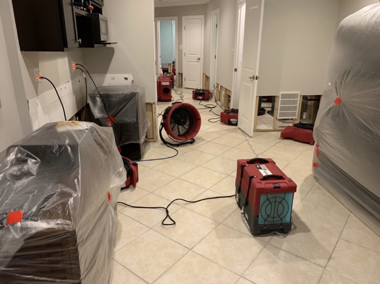 PuroClean of Alexandria Water Damage Restoration Service photo