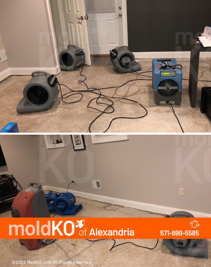 Mold KO of Alexandria Water Damage Restoration Service photo