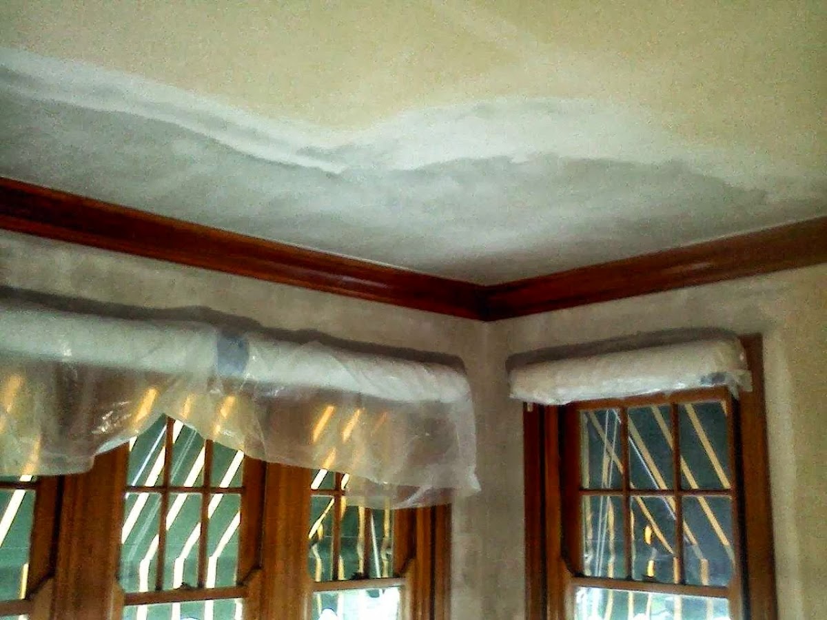 Hoerst Plastering Inc. Plasterer photo