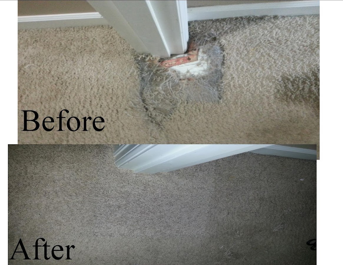 Armstrong Carpet Repair Carpet Installer photo
