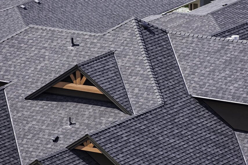 Bud-Z Roof Repair & Replacement Roofing Contractor photo