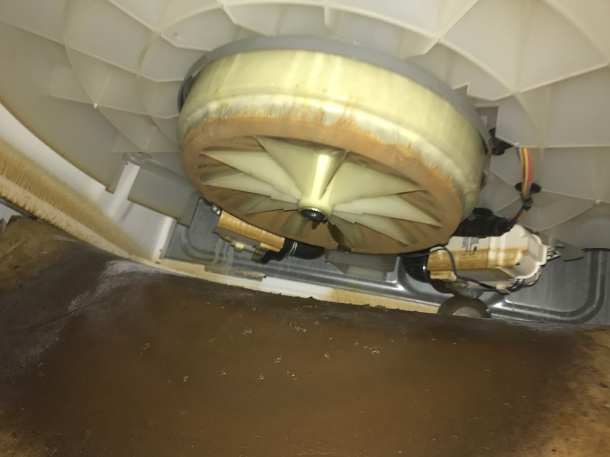 American Appliance Service Appliance Repair Service photo