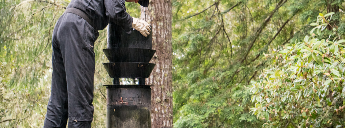 Alpha Chimney Sweeps Chimney Sweep photo