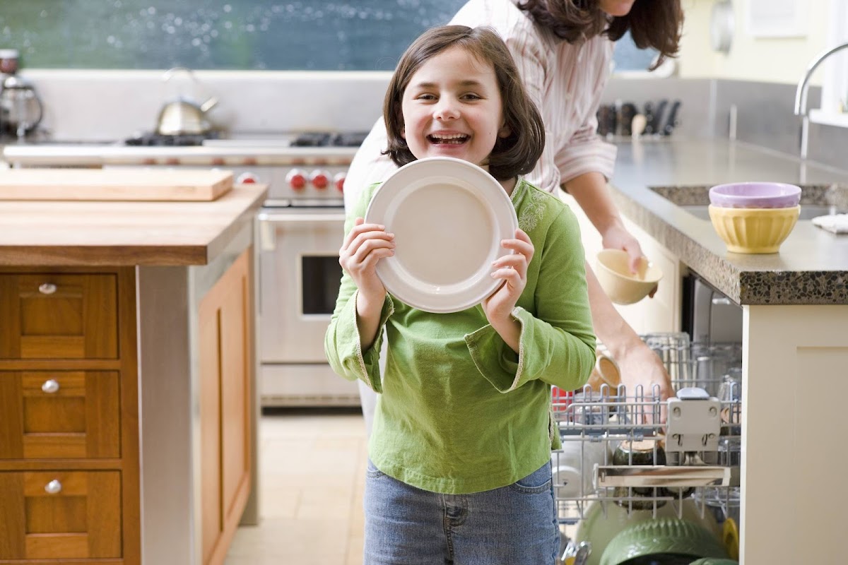 Briggs Appliance Appliance Repair Service photo