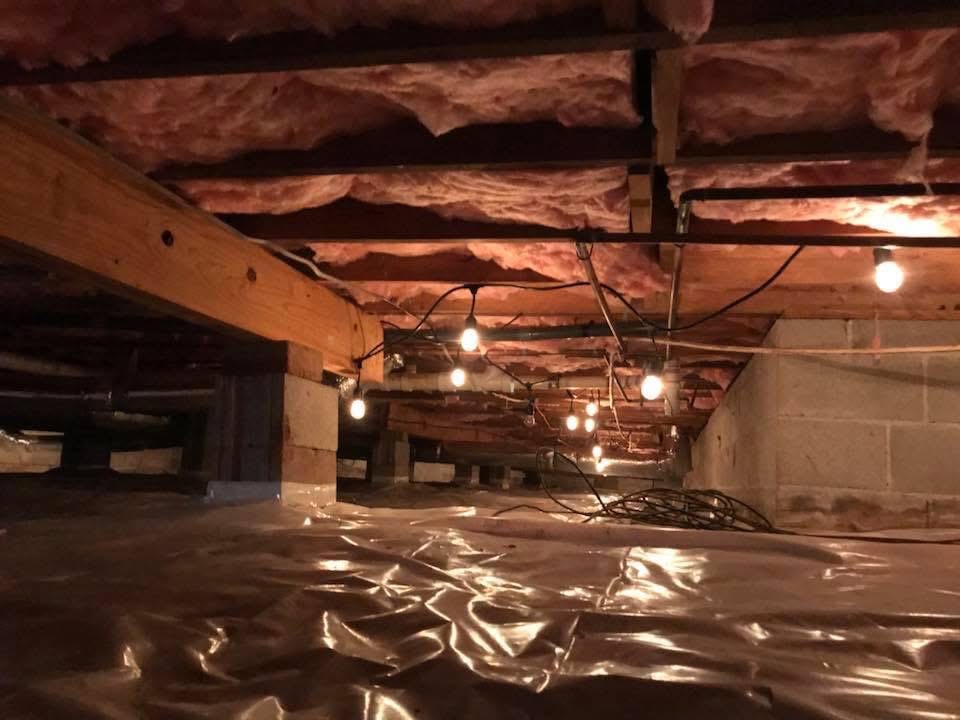 Geo-Insulation & Nuisance Wildlife Removal Services, LLC Insulation Contractor photo