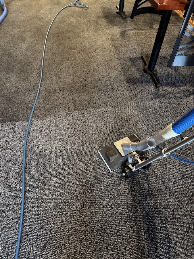 Easy Clean Carpet Cleaning Service photo