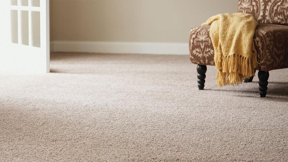 Yellow Finch Carpet Cleaning LLC Carpet Cleaning Service photo