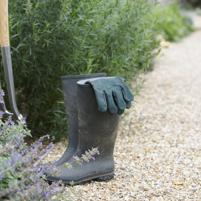 Gallery photo for Garden Path in Albany, GA