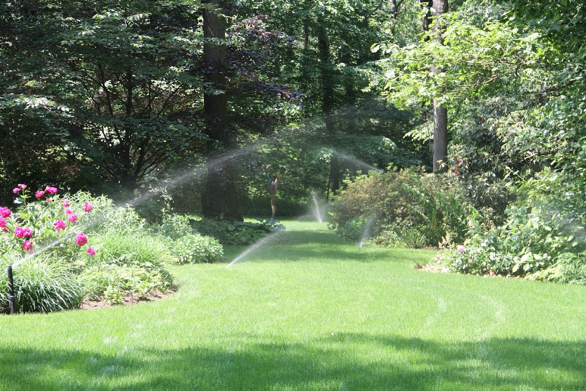 Automatic Irrigation Design Lawn Sprinkler System Contractor photo