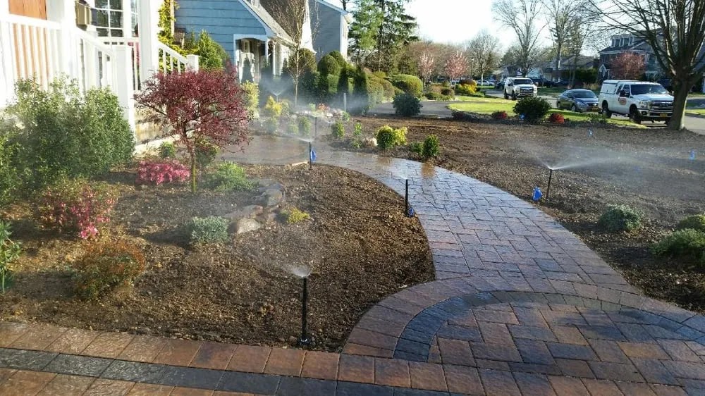 County Irrigation Services Lawn Sprinkler System Contractor photo