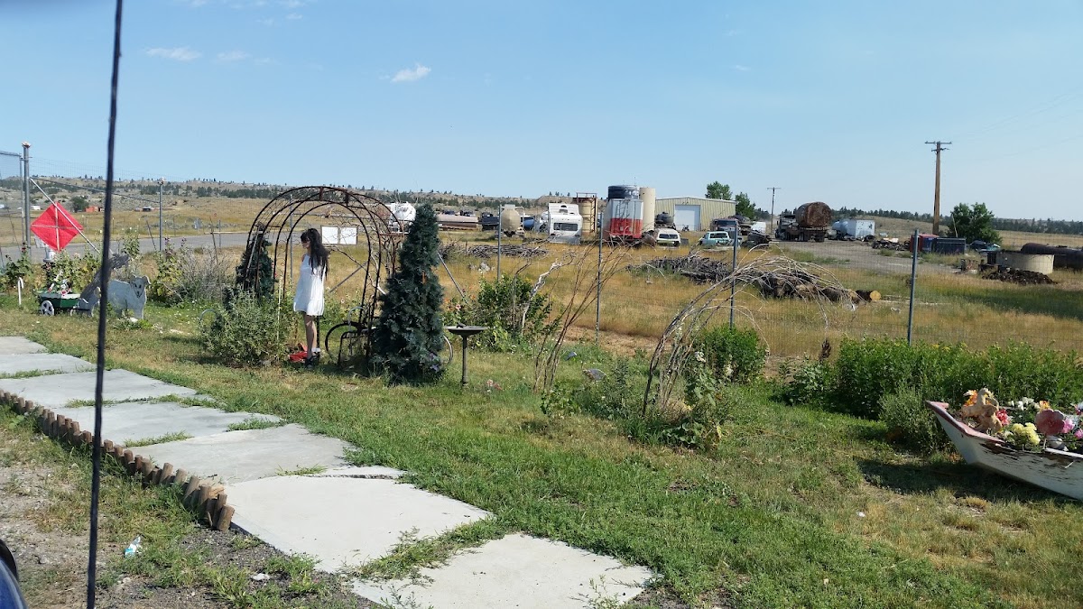 Transfer Site/Garbage Dump Waste Management Service photo