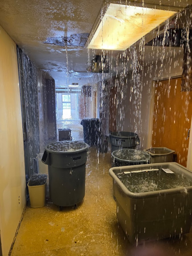 Environmental Cleaning Solutions Water Damage Restoration Service photo