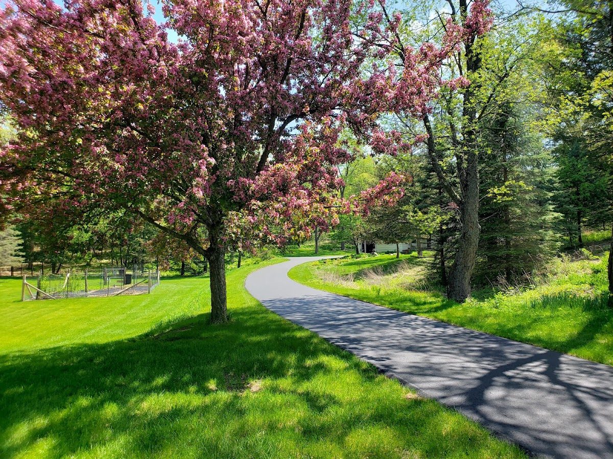 Blacktop Concepts Asphalt Contractor photo