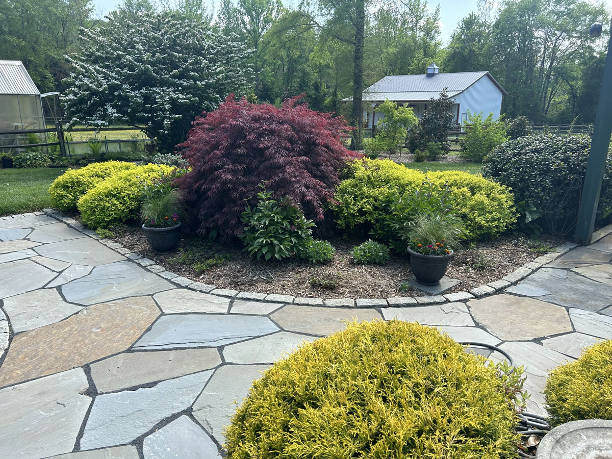 Gallery photo for Ciminelli's Landscape Services, Inc. in Bowie, MD