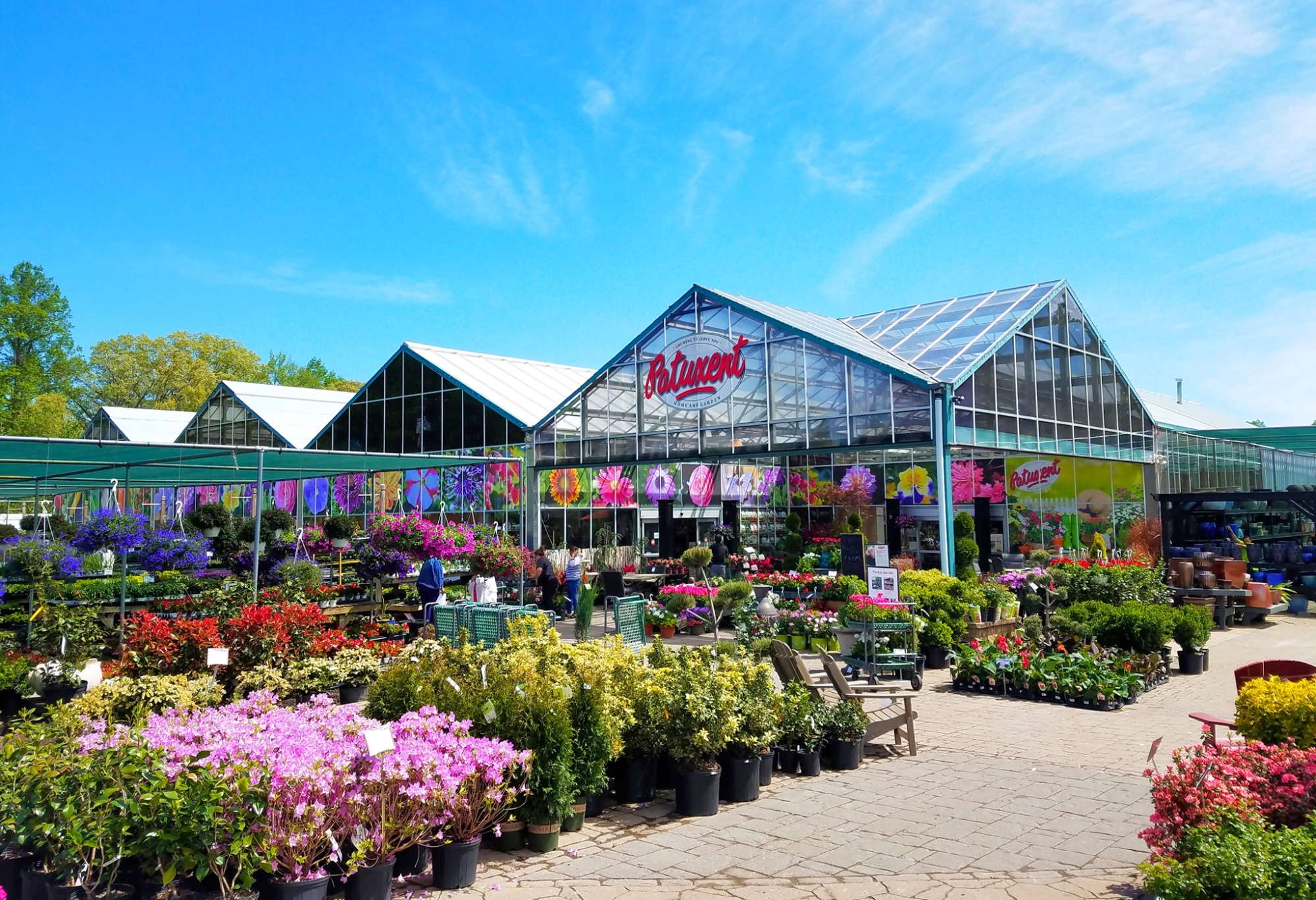 Gallery photo for Patuxent Nursery in Bowie, MD