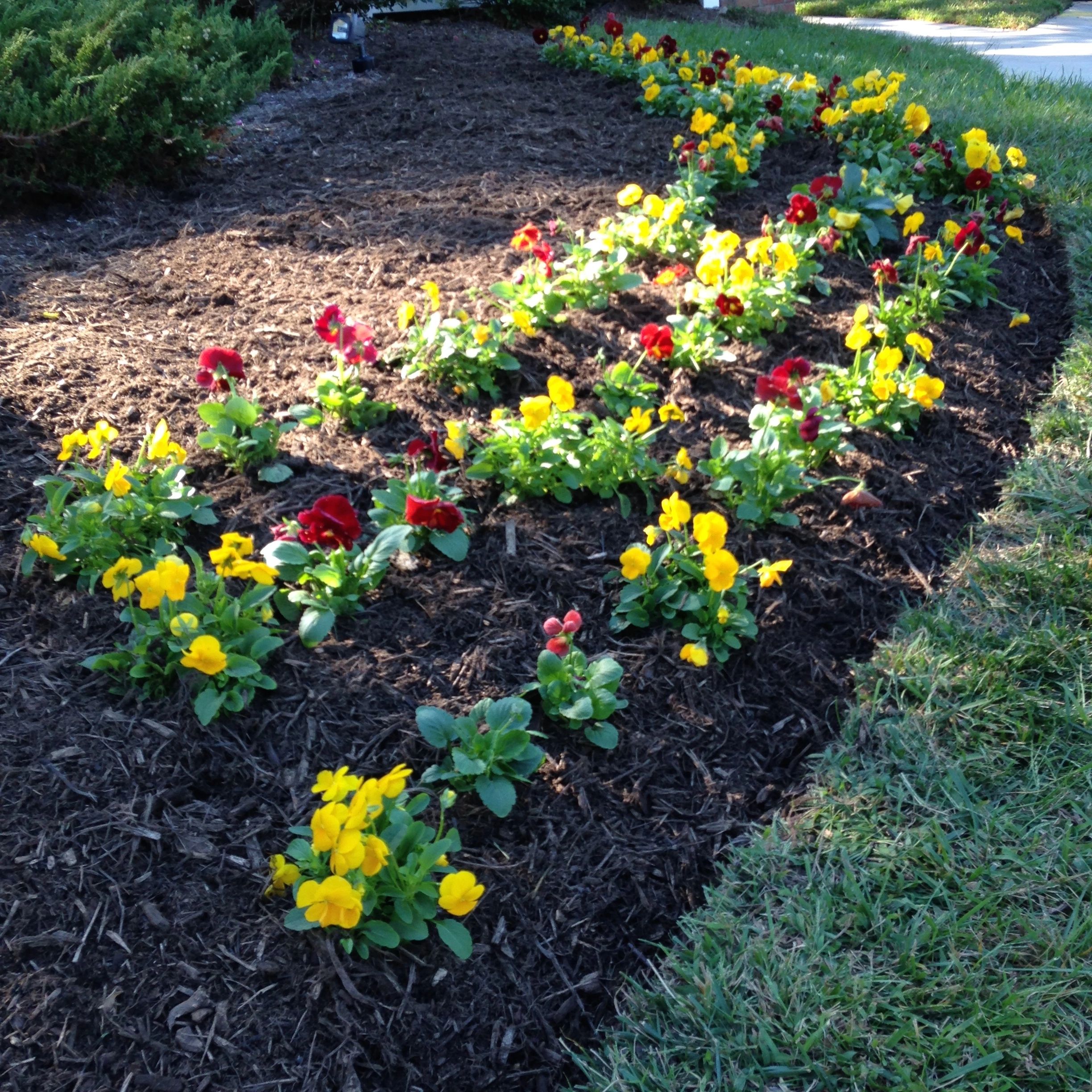 Gallery photo for Earthrise Landscape, LLC in Gambrills, MD