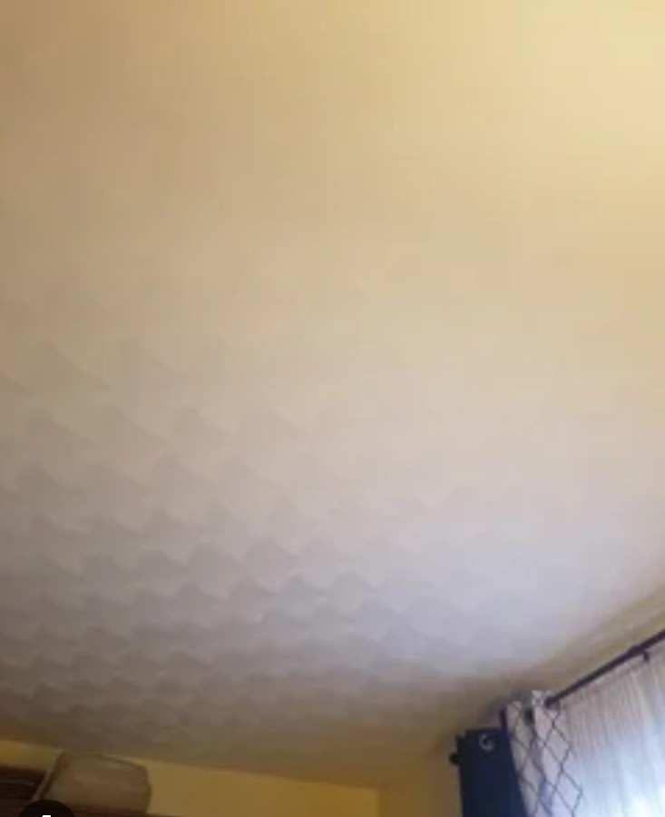 Greco Harold Jr Plaster Perfection Plasterer photo