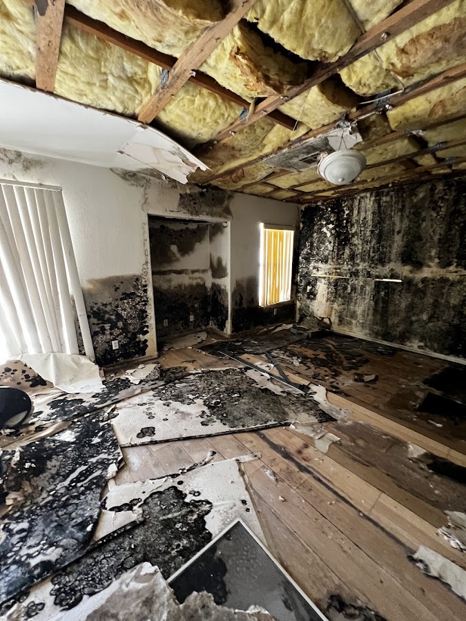 Life Savers Restoration Water Damage Restoration Service photo