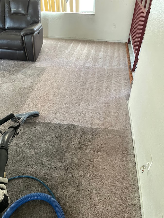 Aloha Carpet Care photo