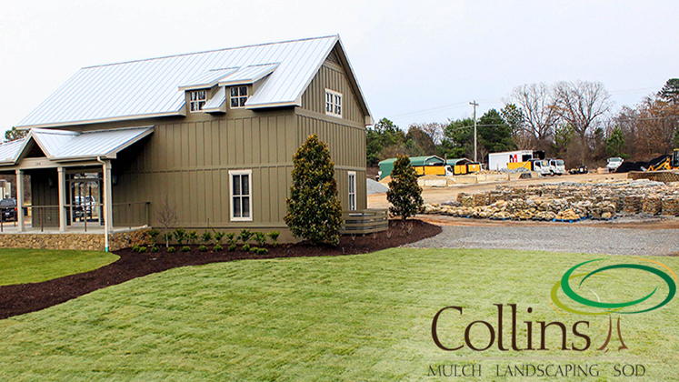 Collins Landscape photo